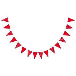 Polka Dot Party Banner (Red & Aqua) Vimplar