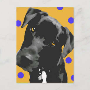 Polka Dot Vykort