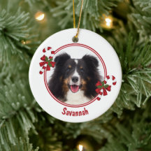 Polkagrisar med fotomall och text för Anpassningsb