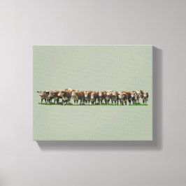 Poll Herefords Canvastryck