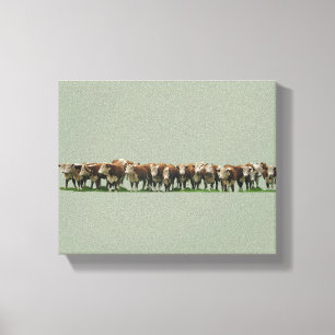 Poll Herefords Canvastryck