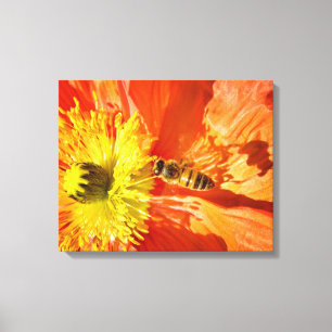Pollination i orange- och gultkanfassjal canvastryck