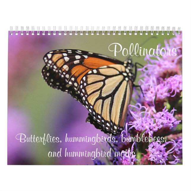 Pollinators Kalender (Omslag)