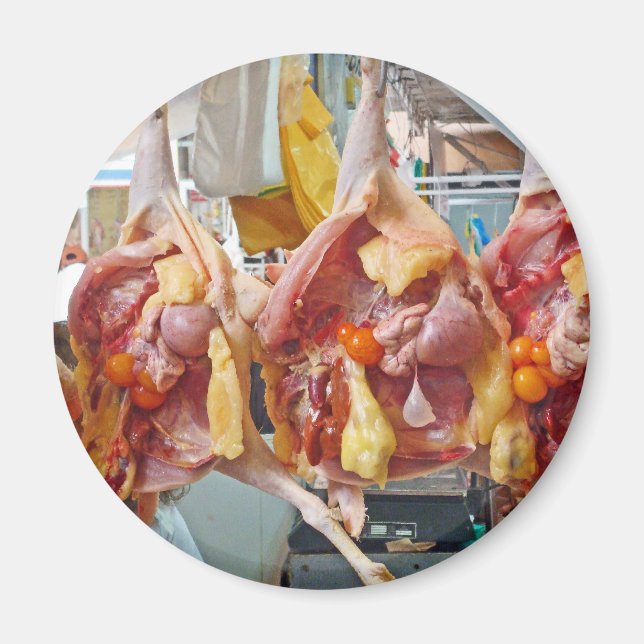 Pollo Magnet (Framsidan)