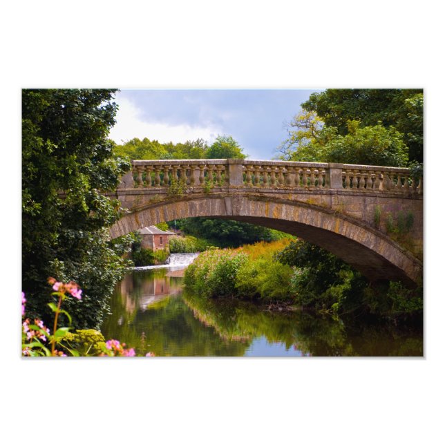 Pollok Park, Glasgow Foto print (Framsidan)