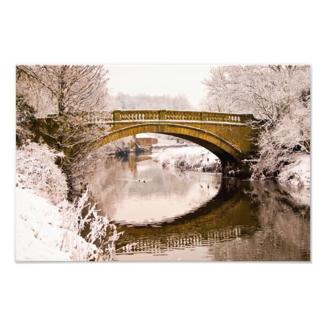 Pollok Park, Glasgow Foto print (Framsidan)