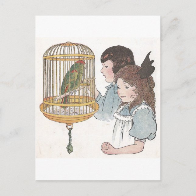 Polly the Parrot Vykort (Framsida)