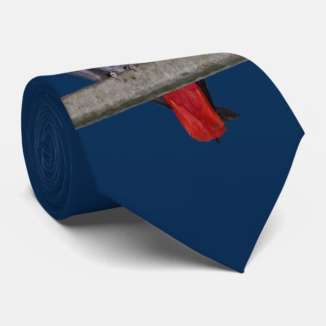 Polly Tie Dubbelsidig Färg (Navy) Slips (Rullad)