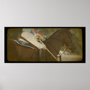 Polo Horse Poster