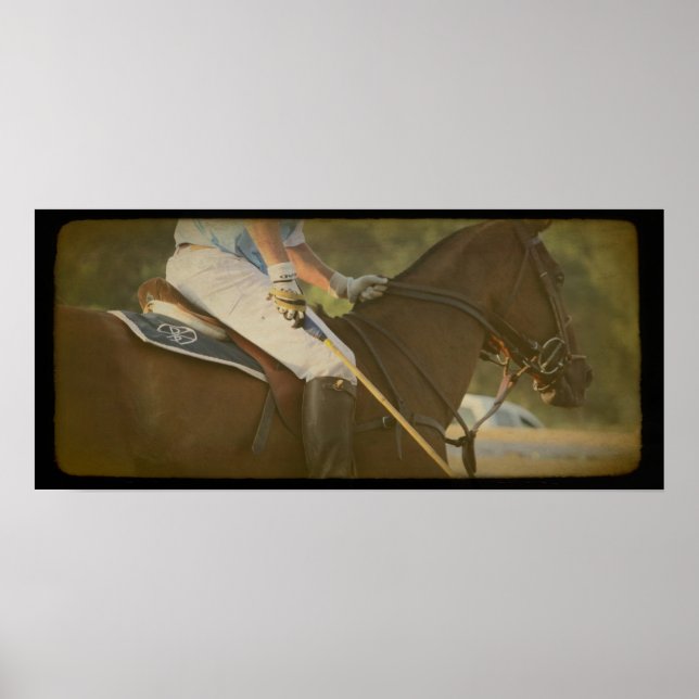 Polo Horse Poster (Framsidan)