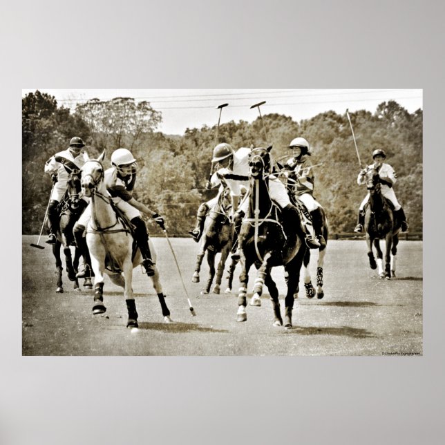 Polo Horses Galloping Poster (Framsidan)