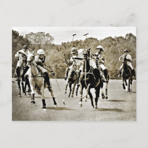 Polo Horses Galloping Vykort