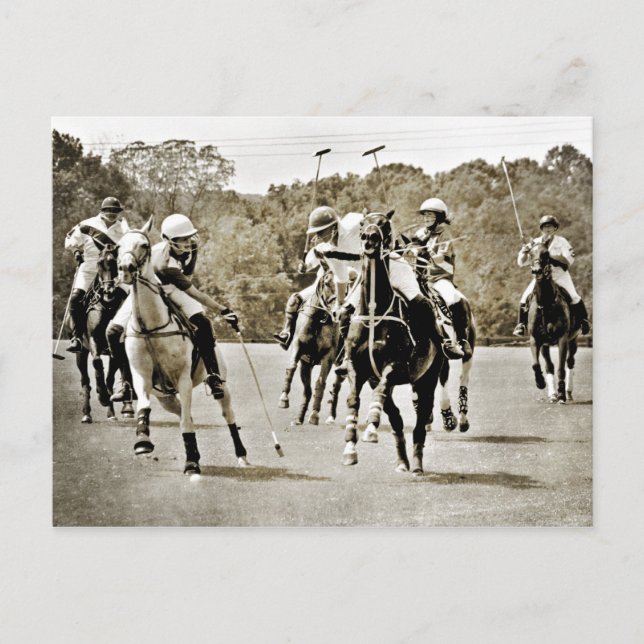 Polo Horses Galloping Vykort (Framsida)