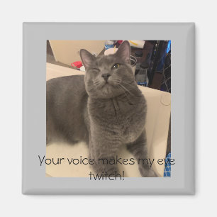 Polo katten "Din röst gör min öga-tvist!" Magnet