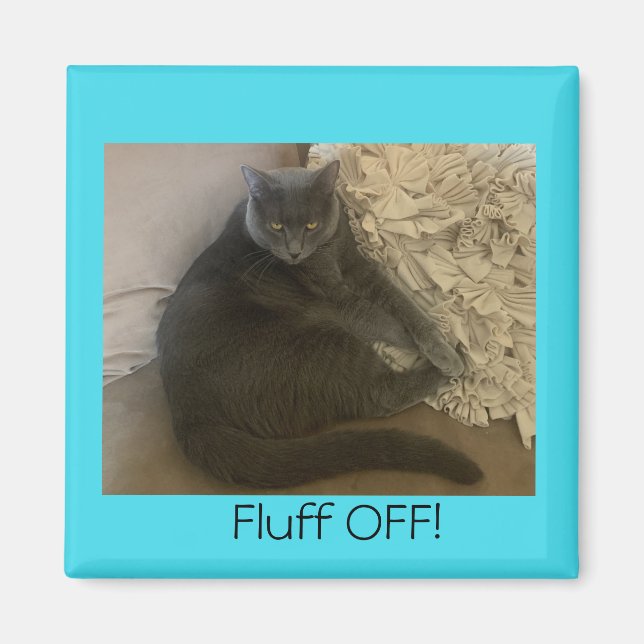Polo, katttfluff Av-magnet Magnet (Framsidan)
