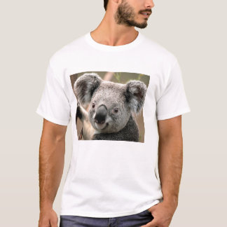 polo koala tröja