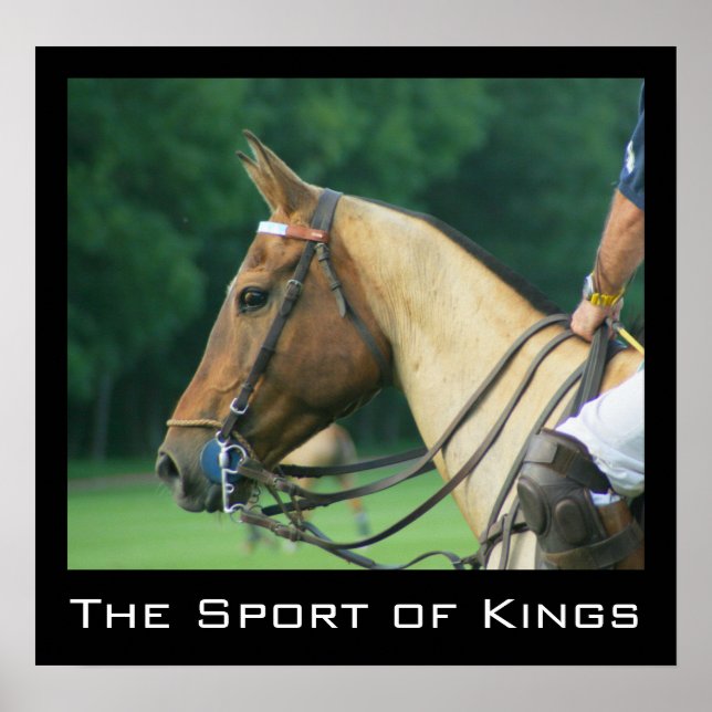 Polo Pony och Rider Poster (Framsidan)
