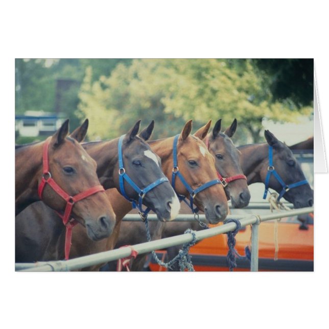 Polo Pony String Hälsningskort (Framsidan Horizontal)