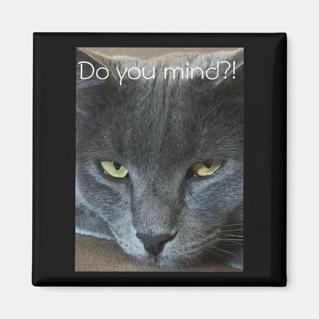 Polo the Cat "Do you 0!!"-magnet? Magnet (Framsidan)