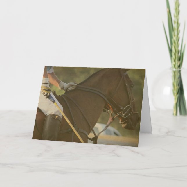 Polohäst Kort (Framsida)