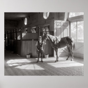 Polohäststall, 1933. Vintagefoto Poster
