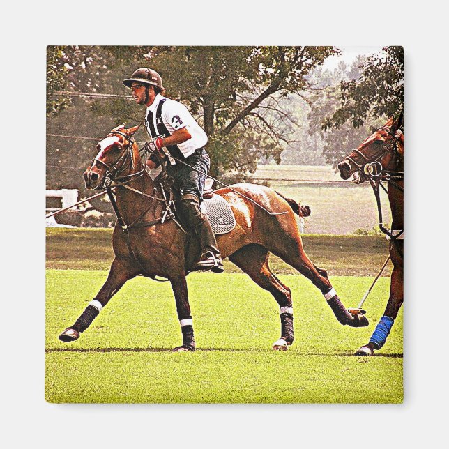 Poloponnymagnet Magnet (Framsidan)