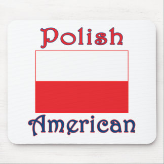 Polsk amerikansk Flagga Musmatta
