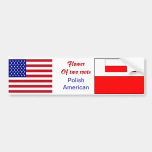 Polsk-amerikanska kantmarkörer bildekal