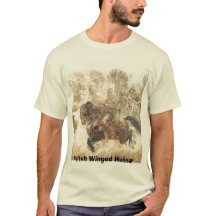 Polsk bevingad Hussar