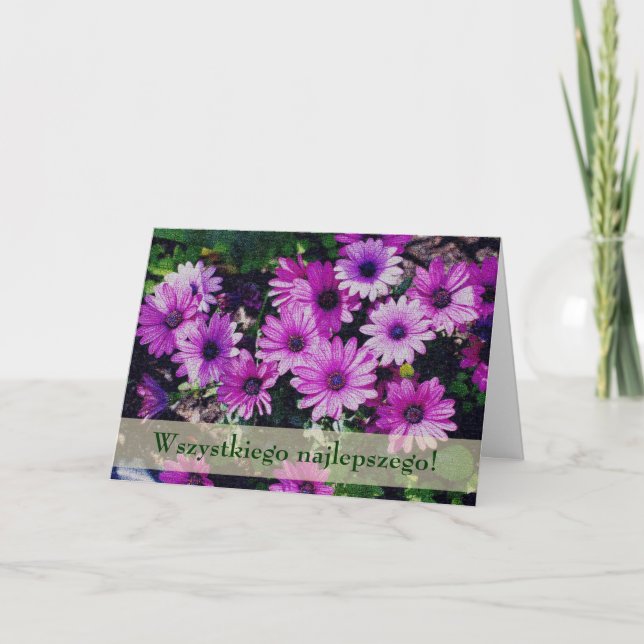 Polsk Blommigt Birthday Card Sto Lat African Daisi Kort (Framsida)