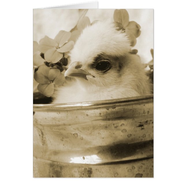 Polsk Chick i Sepia Hälsningskort (Framsidan)