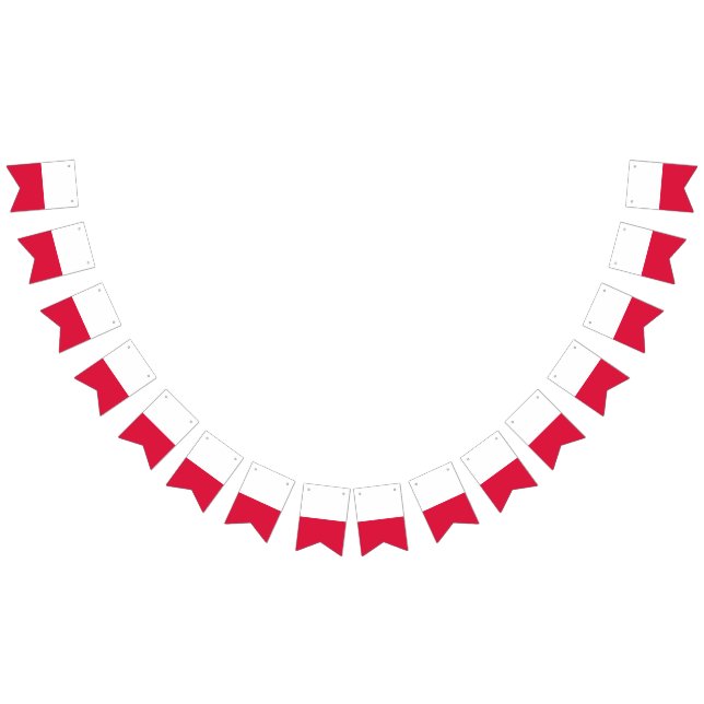 Polsk flagga-banderoll vimplar (Alla)