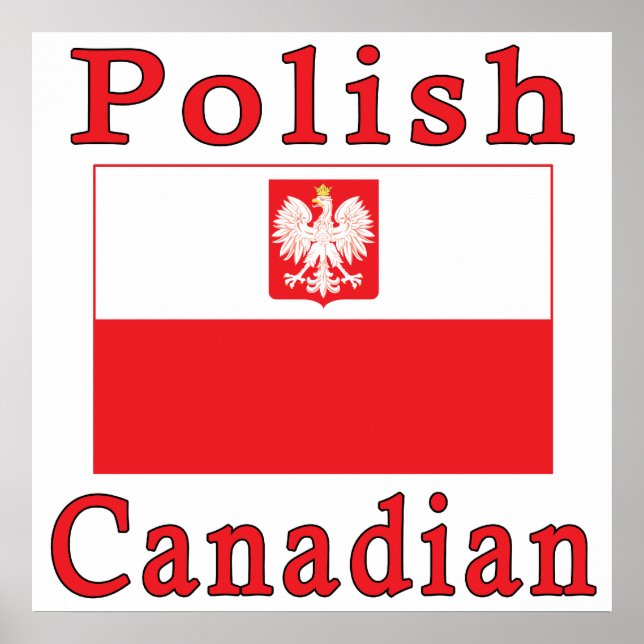 Polsk kanadensisk Falcon Flagga Poster (Framsidan)