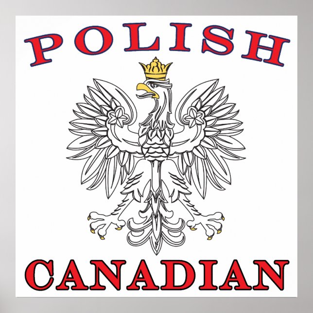 Polsk kanadensisk vit Eagle Poster (Framsidan)
