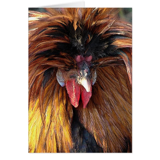 Polsk Roo Hälsningskort (Framsidan)