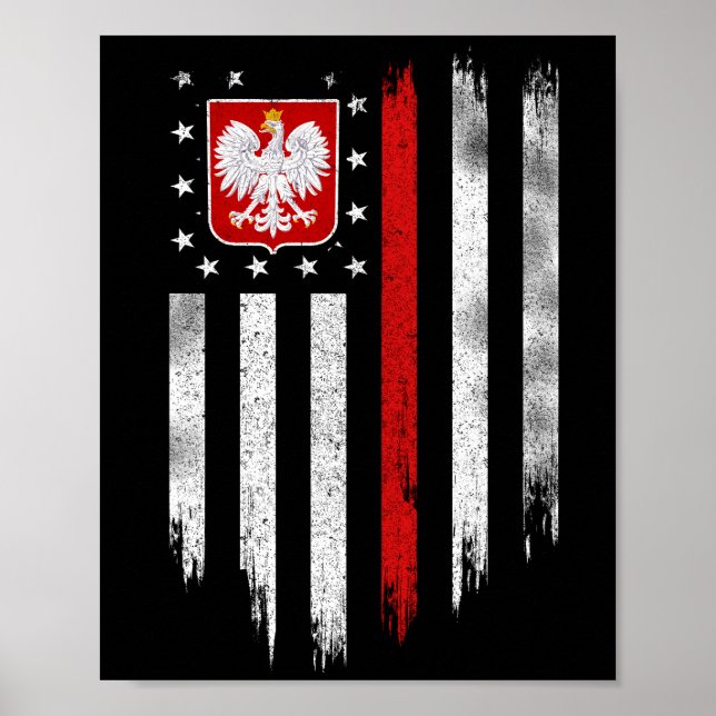 Polska American Flagga Combo Polen Usa Polska Poster (Framsidan)