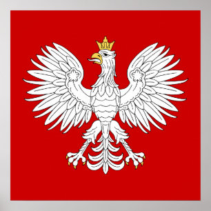 Polska Eagle Poster