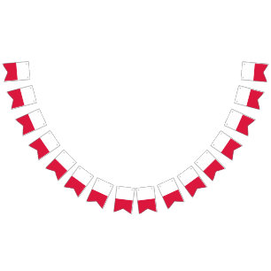 Polska Flagga