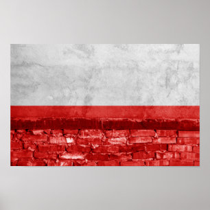 Polska flagga poster