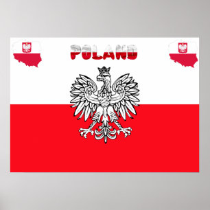 Polska flagga poster
