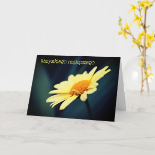 Polska födelsedagen Sto Lat Daisy Flower Kort