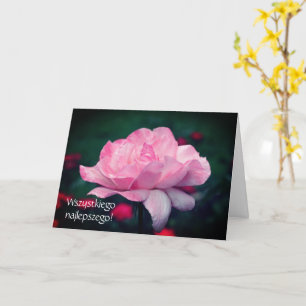 Polska födelsedagen Sto Lat Rosa ros Blommigt Kort