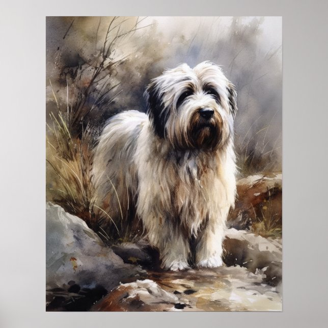 Polska Lowland Sheepdog Hund Art Print Poster (Framsidan)