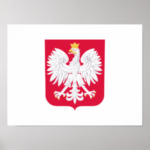 Polska polska jackande av arm poster