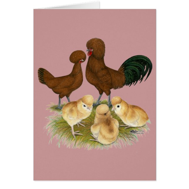 Polska: Röda familjen OBS Kort (Framsidan)