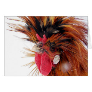 Polska Roo Hälsningskort