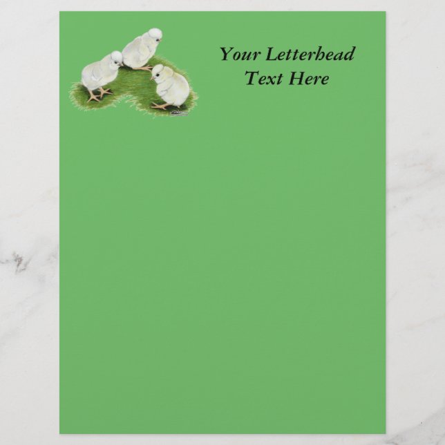 Polska Stänk Chickar (Framsida)