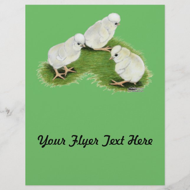 Polska Stänk Chickar Reklamblad (Framsidan)