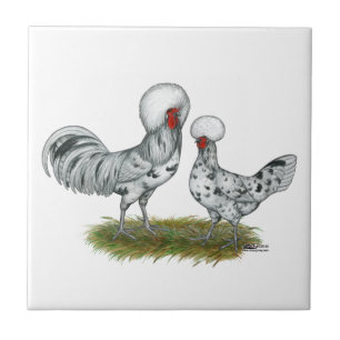 Polska Stänk Chickens Kakelplatta
