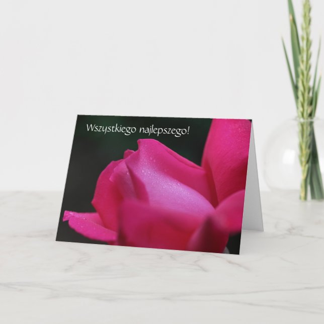 Polskt födelsedagskort Sto Lat Röd ros Kort (Framsida)